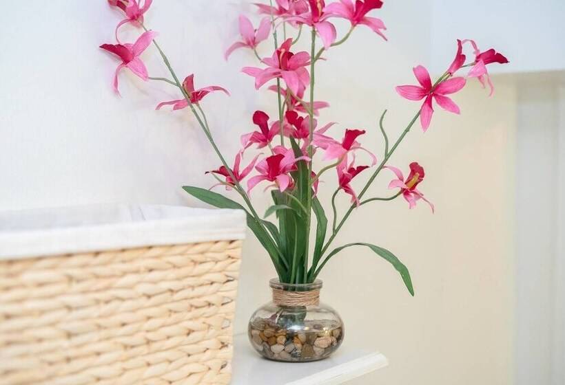 The Cozy Corner A Capitol Hill Escape