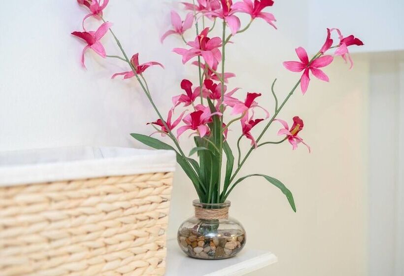 The Cozy Corner A Capitol Hill Escape