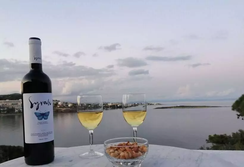Villa Artemis Near Athens Airport