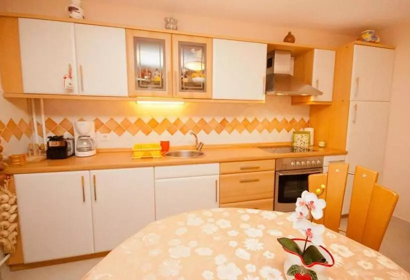 Villa Schober Baška