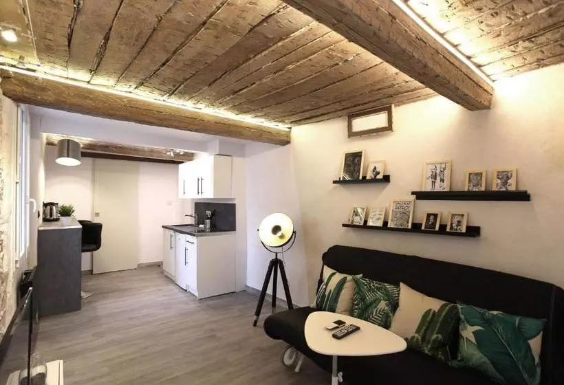 Gregbnb T2 Ancien Et Moderne Parking Inclus 15min Gare