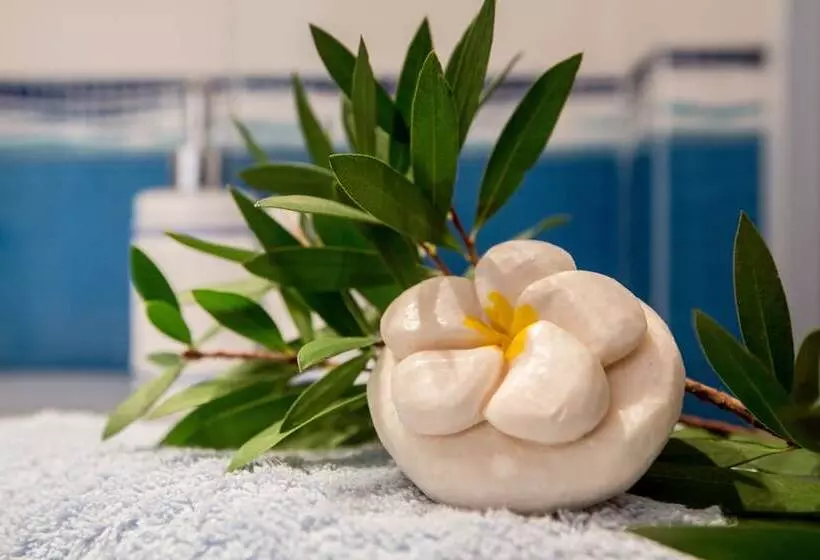 Calliope Corfu Apartments 1