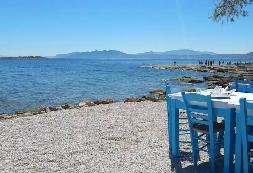 Levy S Place Athens Airport