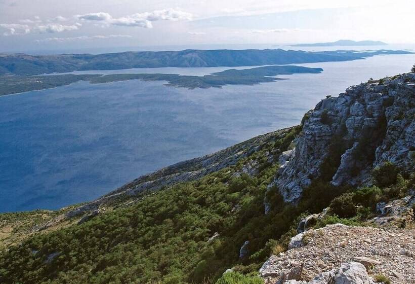 Apartments Newway Bol