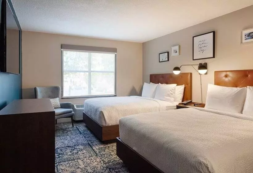 酒店 Four Points By Sheraton Orlando Convention Center