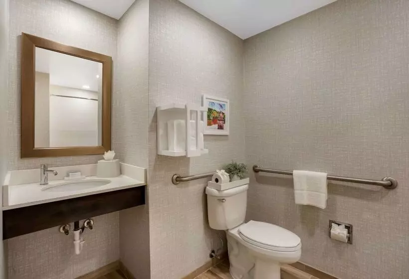 Отель Hampton Inn Philadelphia / Willow Grove