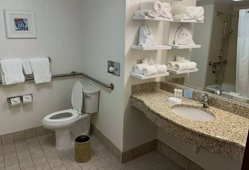 هتل Wingate By Wyndham St Louis Airport