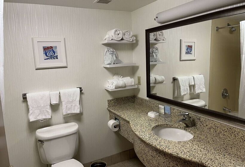 Otel Wingate By Wyndham St Louis Airport