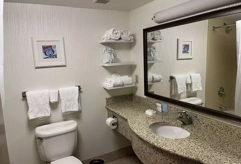 هتل Wingate By Wyndham St Louis Airport