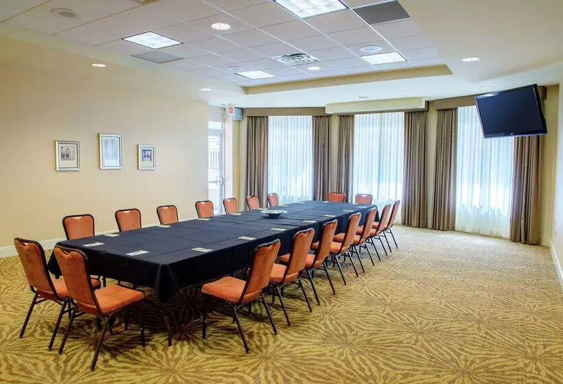 هتل Hilton Garden Inn Rochester Downtown, Mn