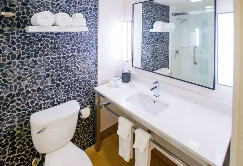 هتل Hilton Garden Inn Rochester Downtown, Mn