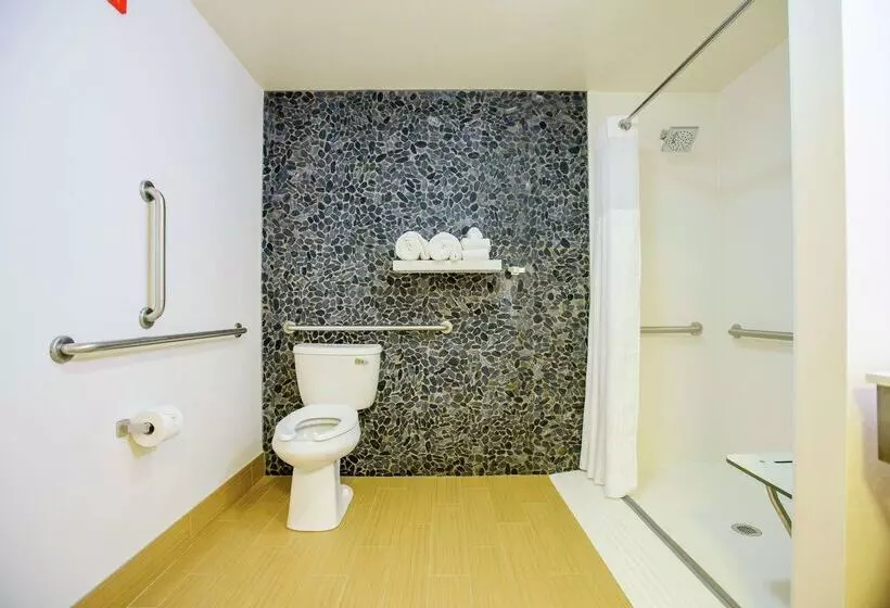 هتل Hilton Garden Inn Rochester Downtown, Mn