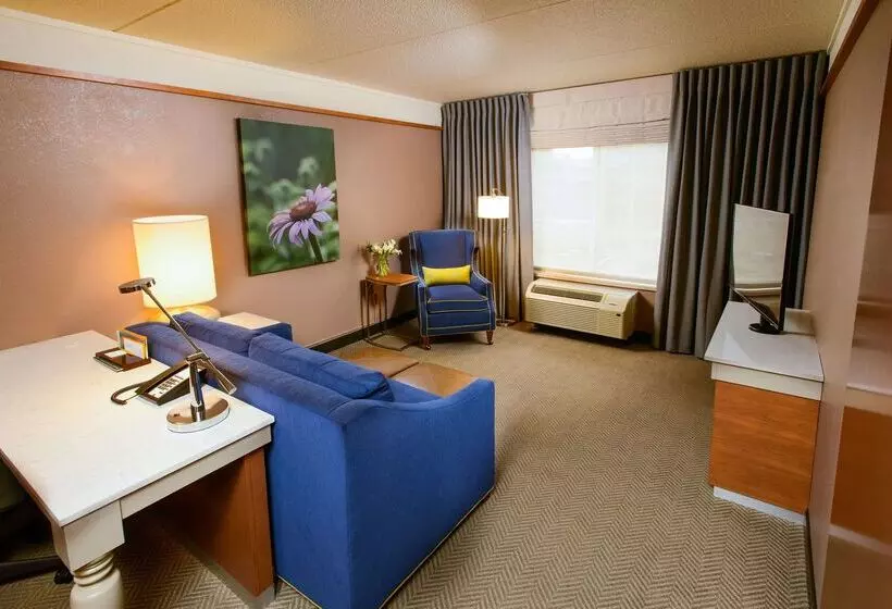 هتل Hilton Garden Inn Rochester Downtown, Mn