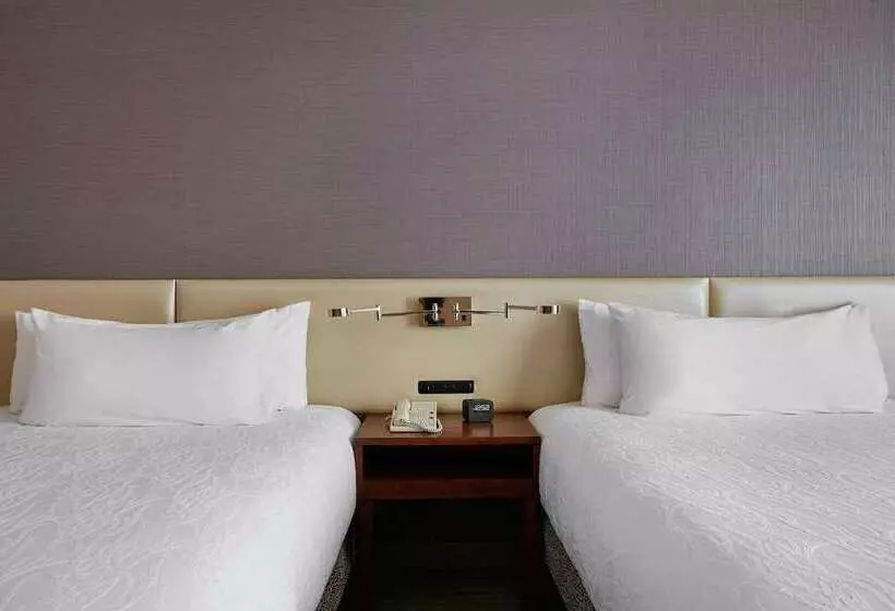 ホテル Hilton Garden Inn San Francisco Arpt North