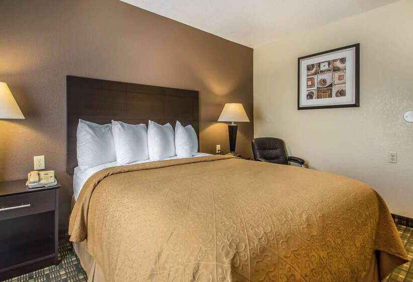 酒店 Quality Inn & Suites Decorah