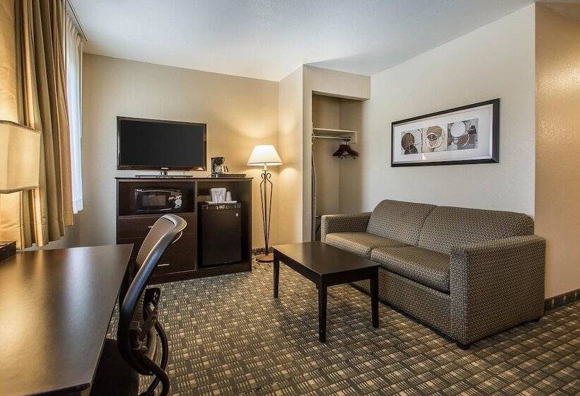 酒店 Quality Inn & Suites Decorah