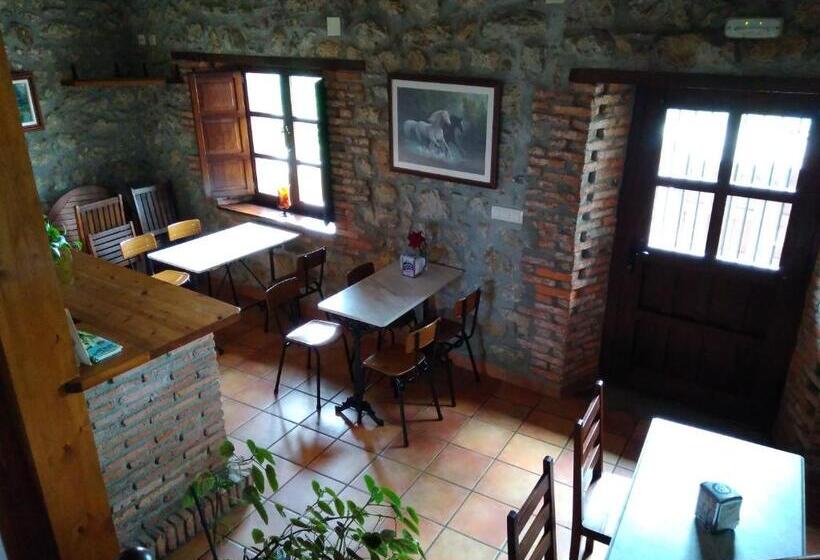 Pensionat Casa Albertino