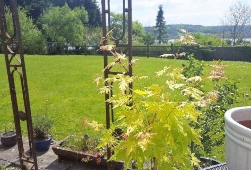 Cosy Coach House Cottage