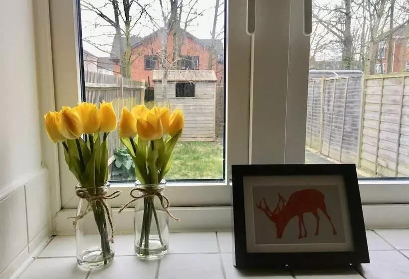 Eastleigh House Near Airport