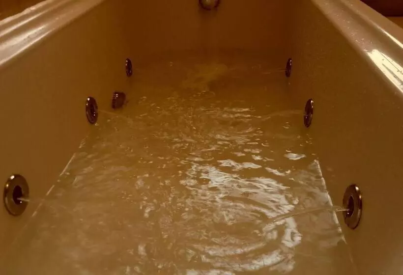 Luxurious Apartments In Conwy