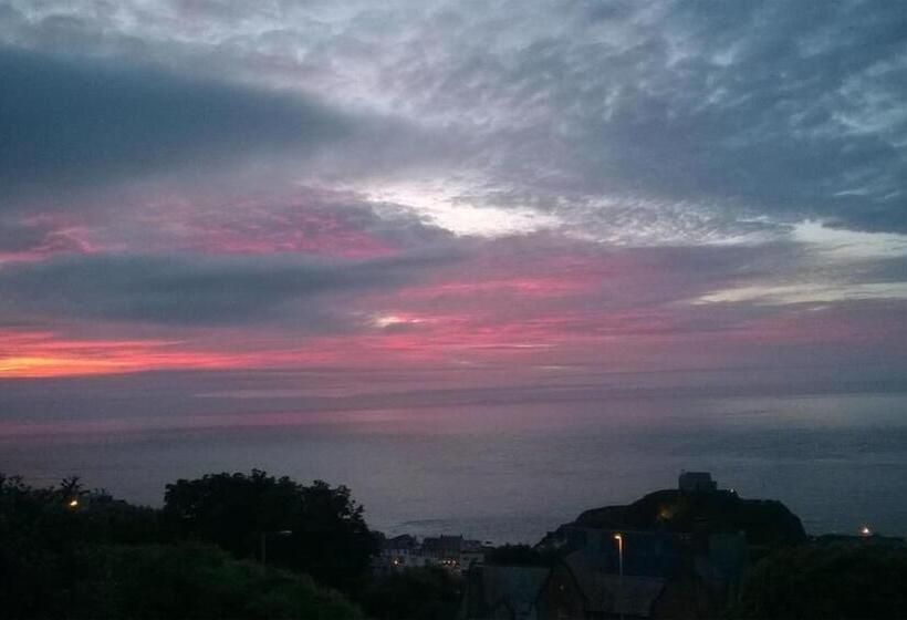 Verity And Ilfracombe Harbour View