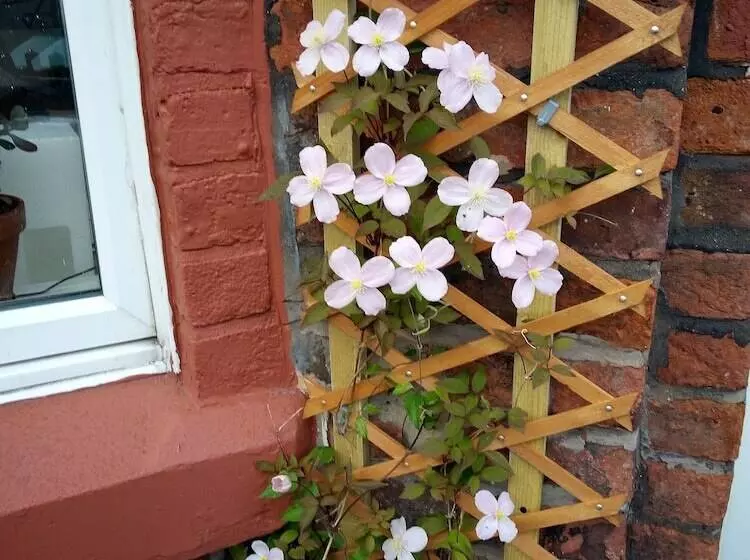 ペンション Guest House