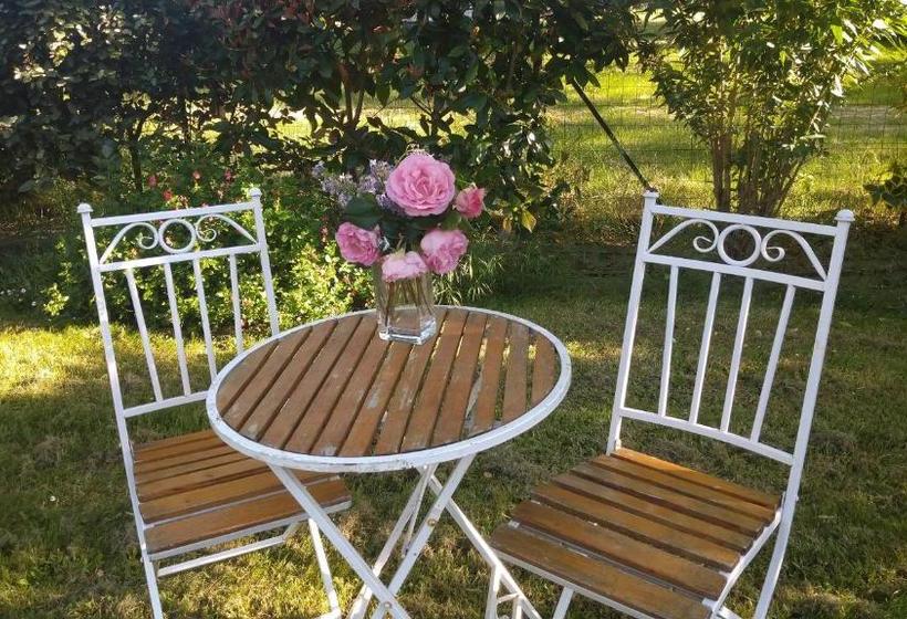 بنسيون Le Clos Du Cèdre