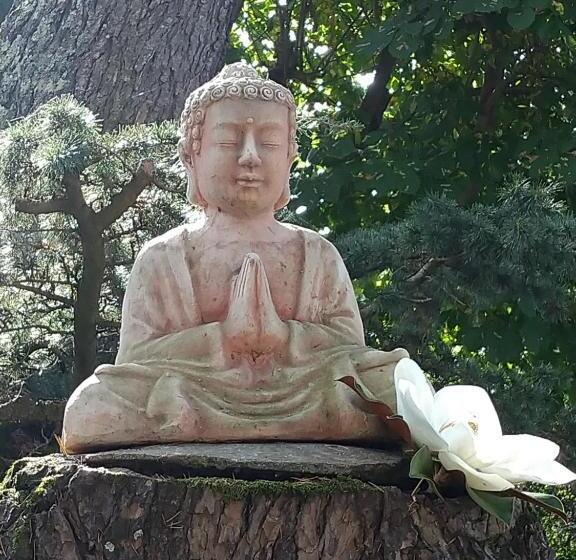 بنسيون Le Clos Du Cèdre