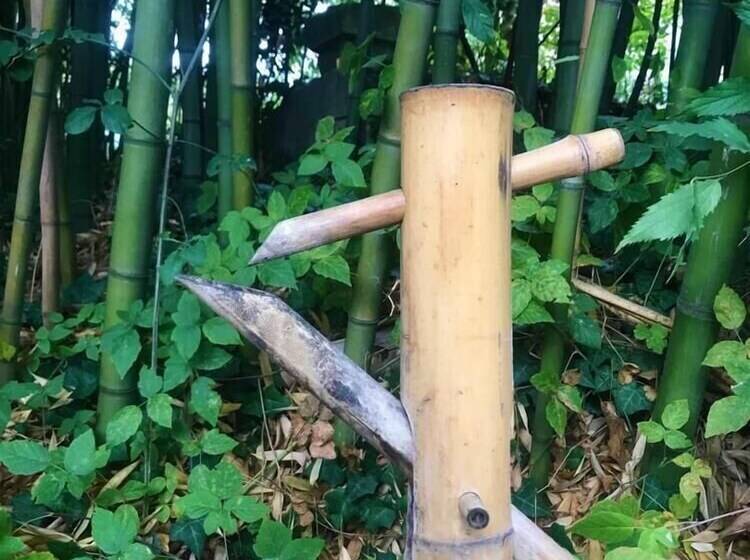 Пансион Les Gîtes Et La Chambre De Labahou Spa