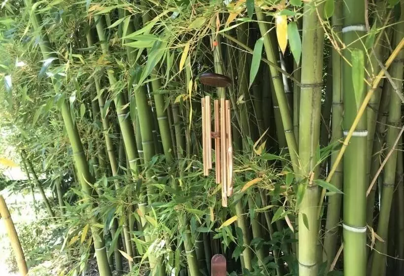 ペンション Les Gîtes Et La Chambre De Labahou Spa