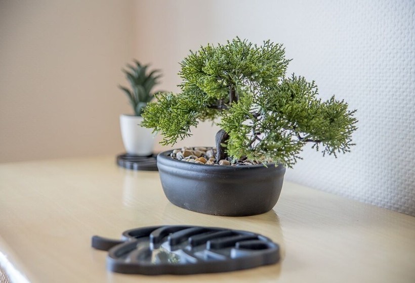 Appartement Sur La Plage 4 Personnes