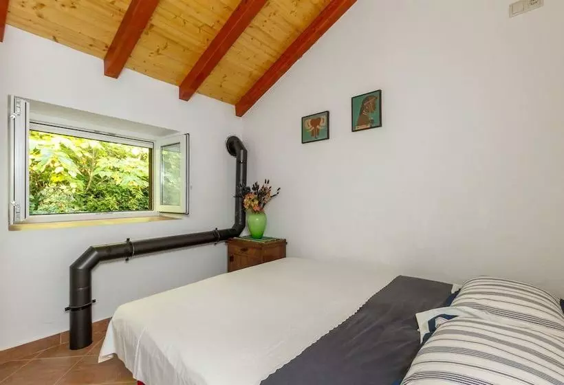House Ivana