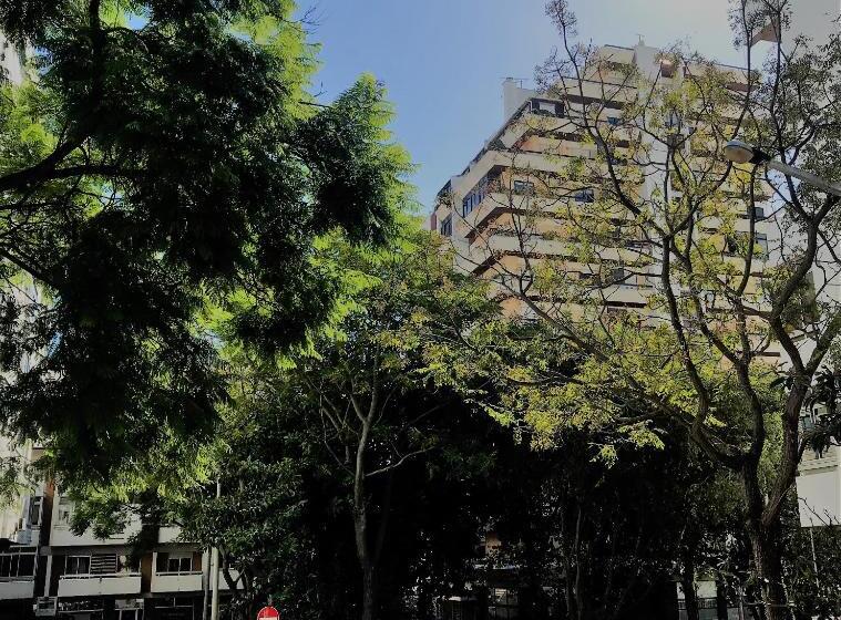 In Faro With Sea View