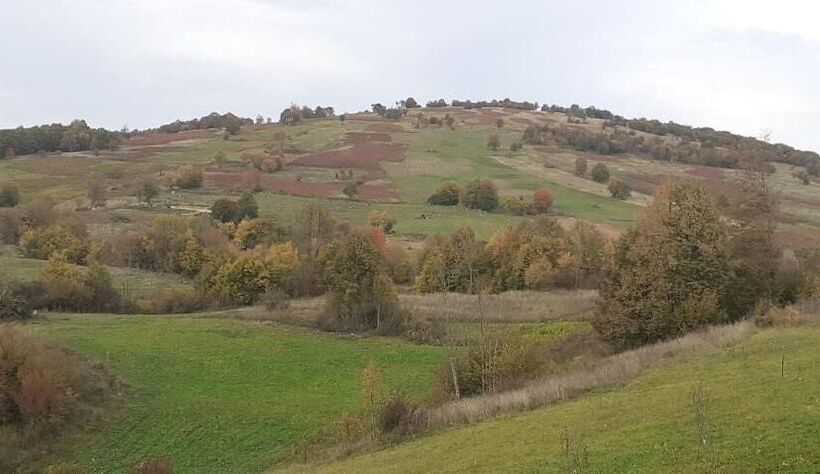 پانسیون Guesthouse Blazenka Hodak