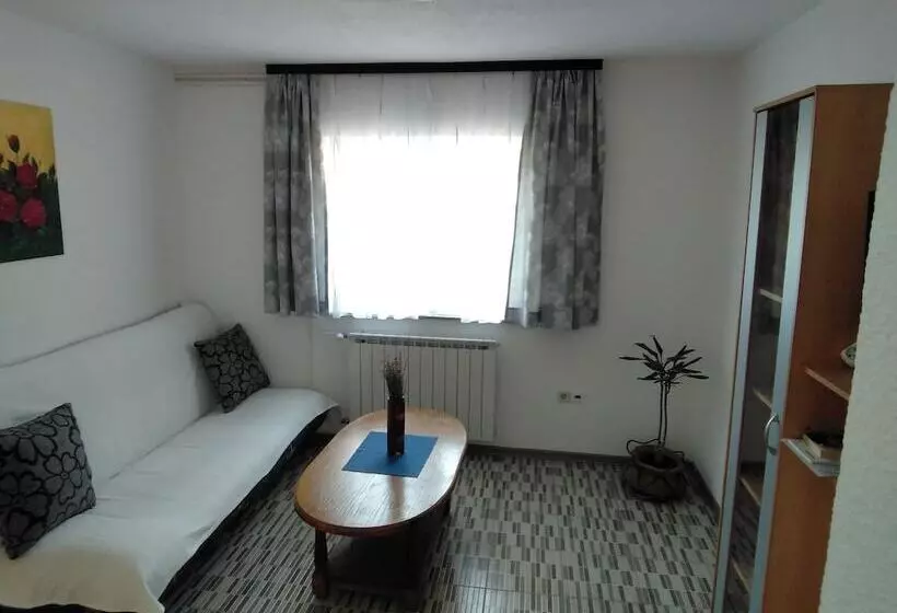 ペンション Guesthouse Blazenka Hodak