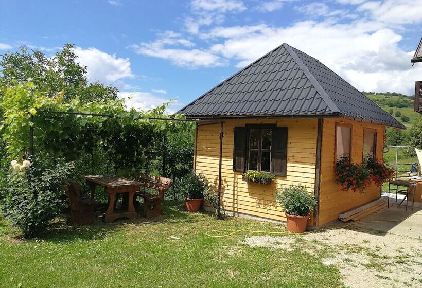 پانسیون Guesthouse Blazenka Hodak