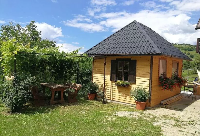 ペンション Guesthouse Blazenka Hodak