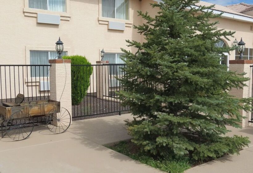 בית מלון כפרי Baymont Inn & Suites By Wyndham Holbrook