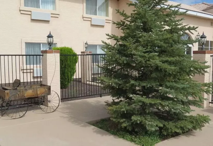 호텔 Baymont Inn & Suites By Wyndham Holbrook