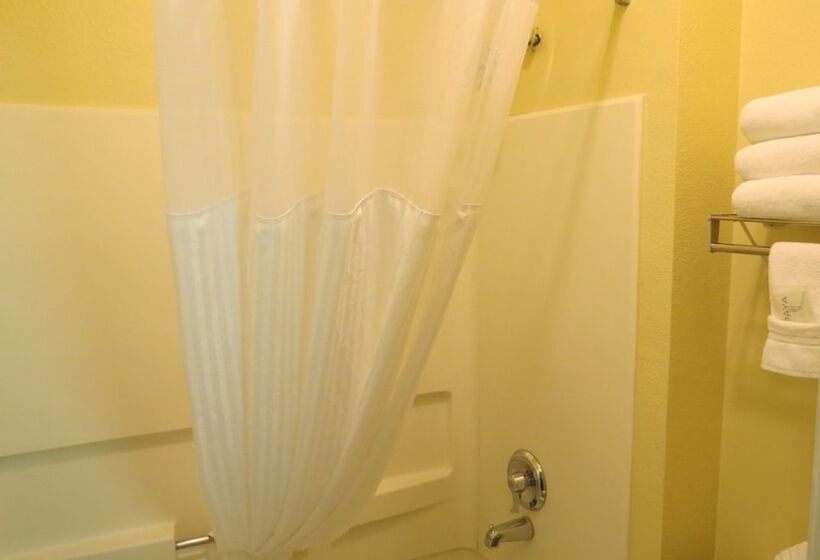 בית מלון כפרי Baymont Inn & Suites By Wyndham Holbrook