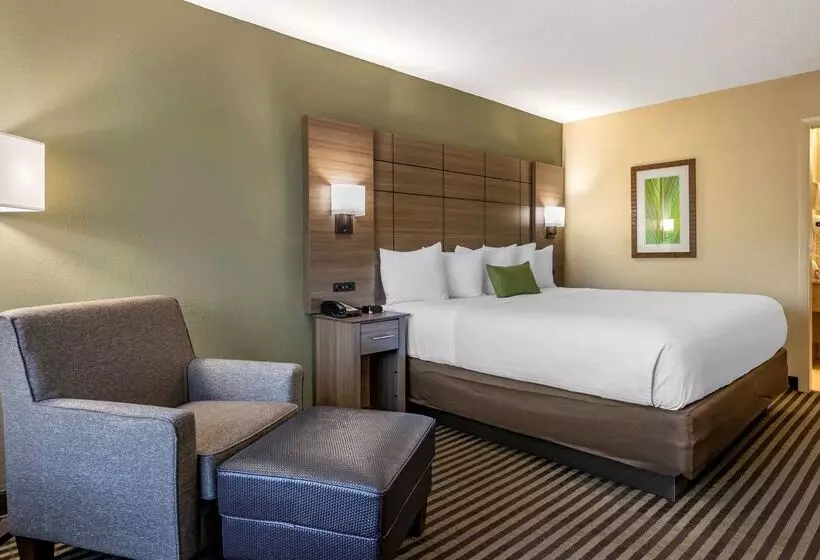 호텔 Best Western Downtown Stuart