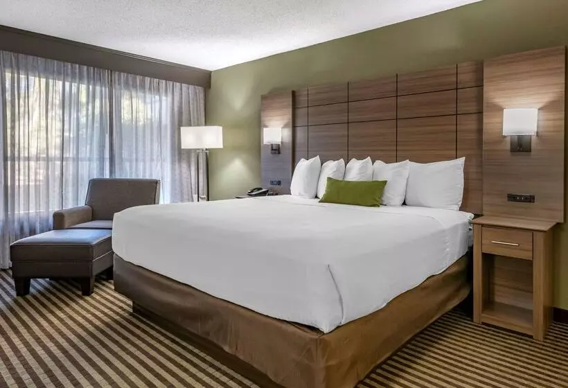 호텔 Best Western Downtown Stuart