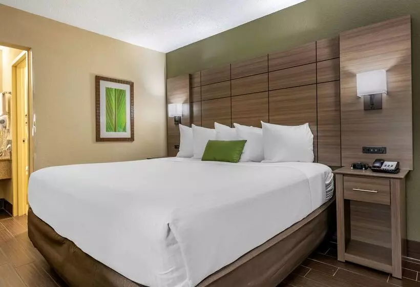 호텔 Best Western Downtown Stuart