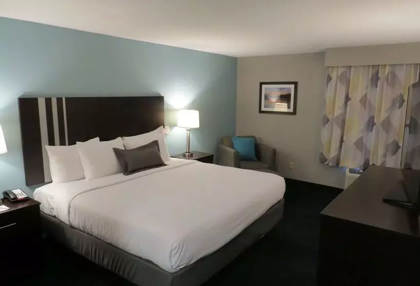 فندق Best Western St. Clairsville Inn & Suites