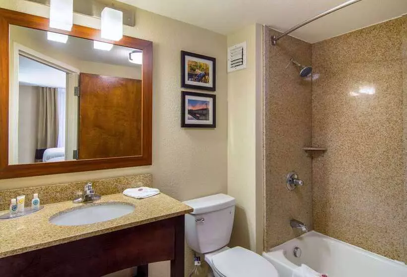 호텔 Comfort Inn Acworth Kennesaw Northwest