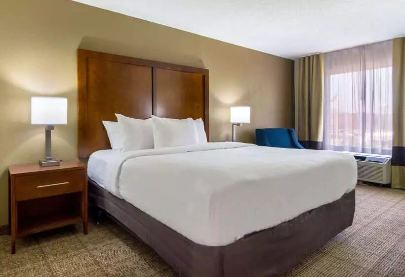 호텔 Comfort Inn Acworth Kennesaw Northwest
