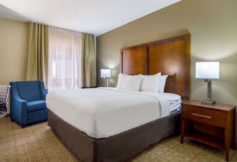 酒店 Comfort Inn Acworth Kennesaw Northwest