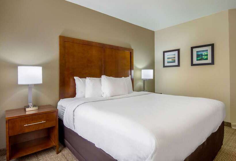 酒店 Comfort Inn Acworth Kennesaw Northwest