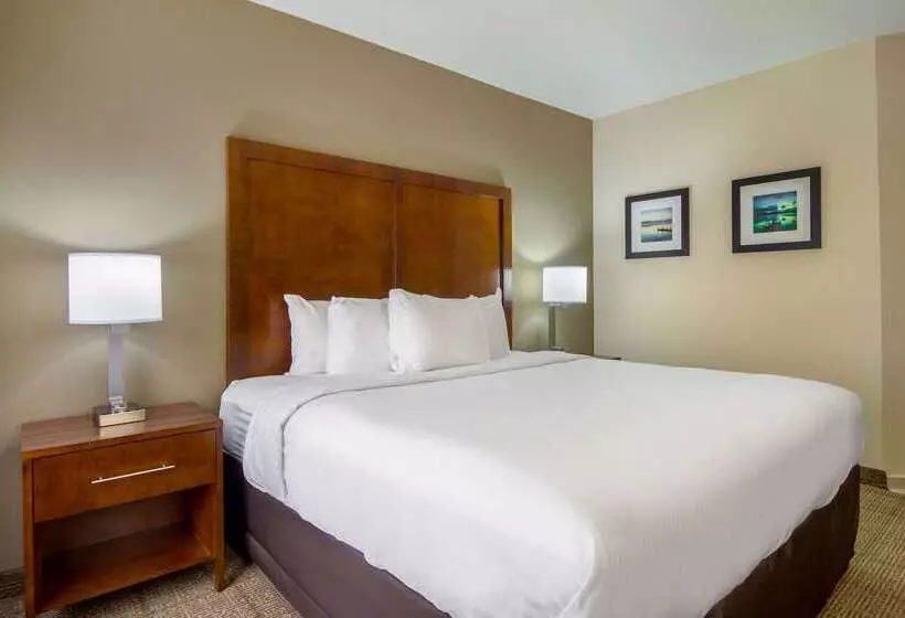 호텔 Comfort Inn Acworth Kennesaw Northwest