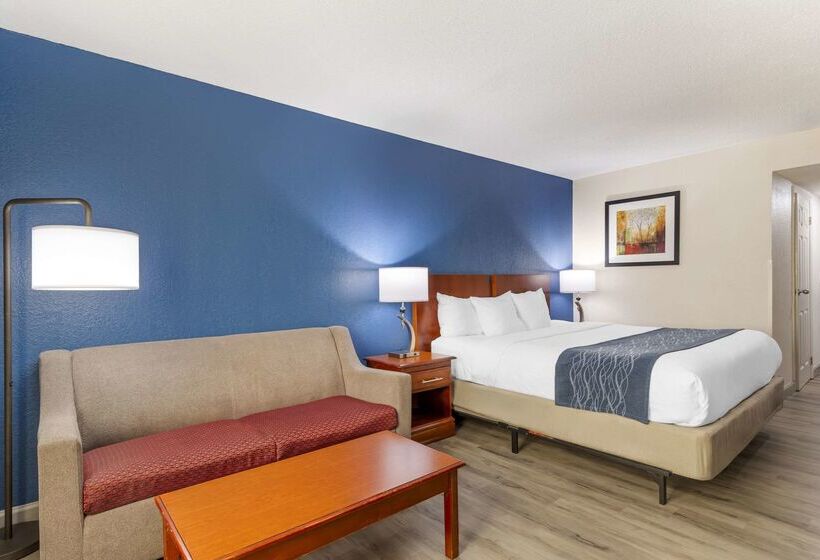 ホテル Comfort Inn Alpharettaatlanta North